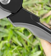 Pruning Shears