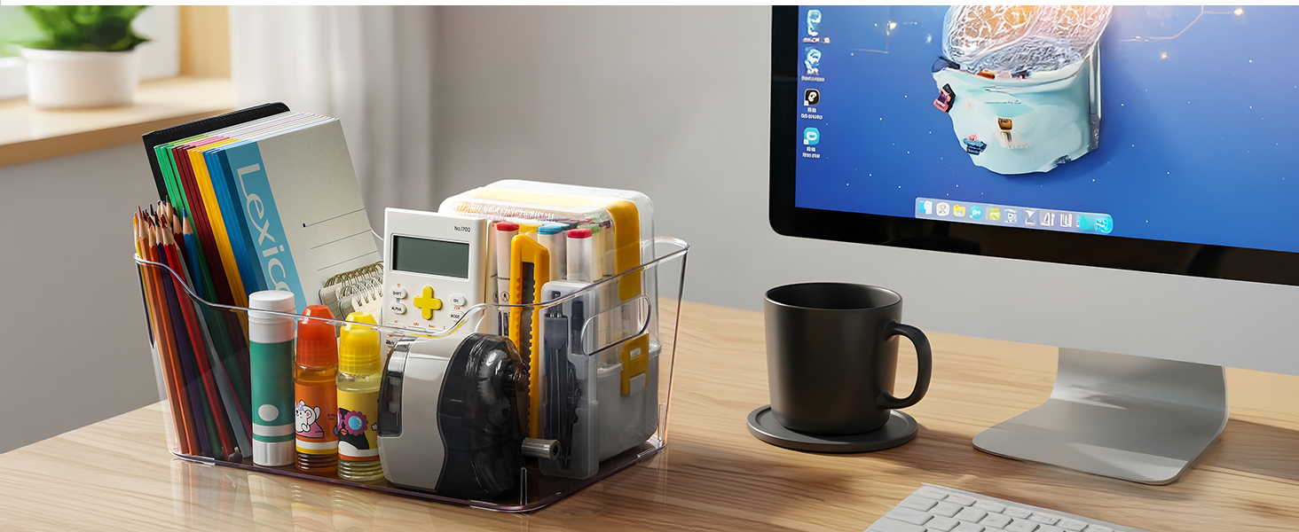 Clear Bins Organizer