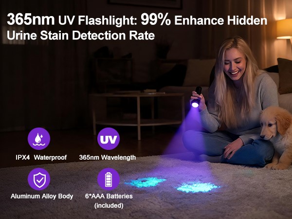 99% Pet Stain Detection Rate