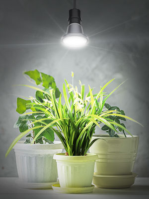 SANSI 12W Outdoor Indoor Plant Grow Light Bulb