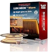 Shine Decor LED Neon Rope Lights AC 120V, Expandable & Cuttable 120LEDs/M Bright Strip Lighting, ...