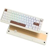 Womier SK65 Wireless Mechanical Gaming Keyboard, 60 Percent Retro Creamy White Aluminium Keyboard...