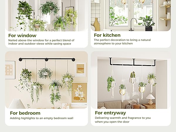 Plant Hanger Indoor