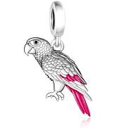 BSFJTY S925 Sterling Silver Bird Charms, Hummingbird Cardinal Kingfisher Animal Bead Charms, Red ...