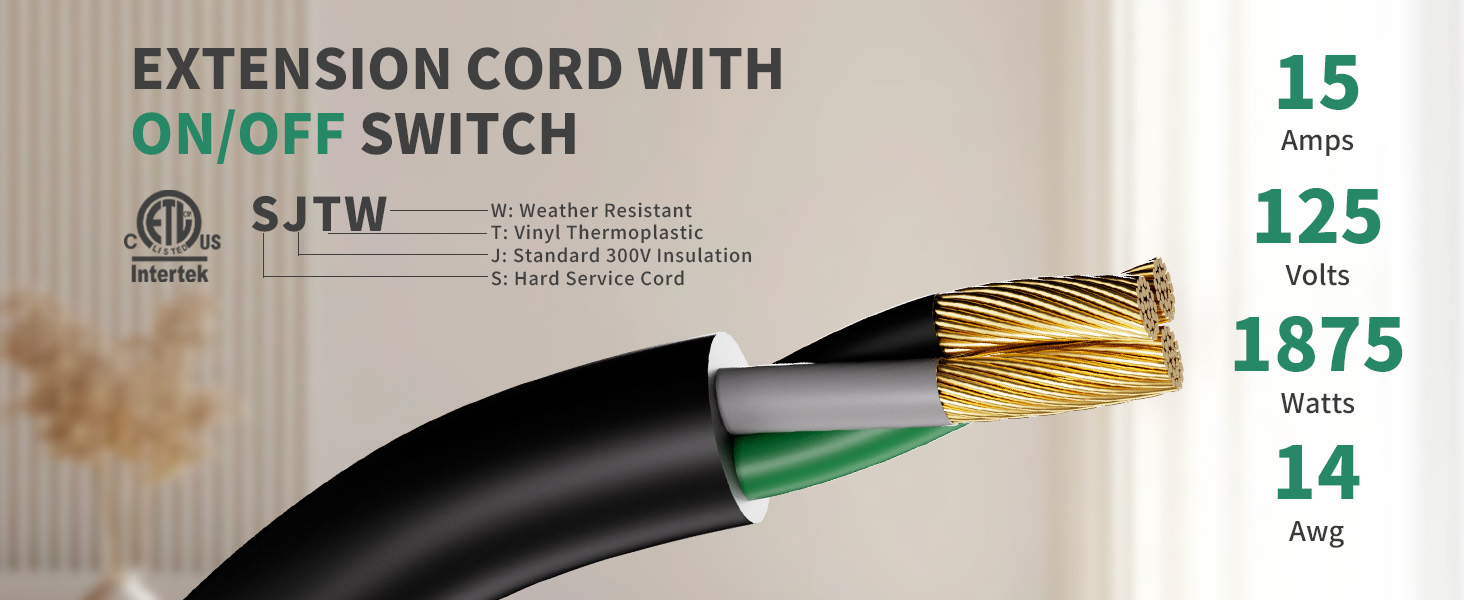 extension cords on off switch