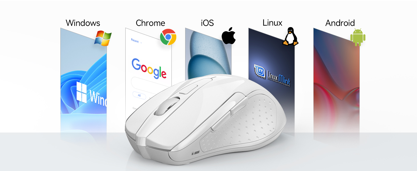mouse