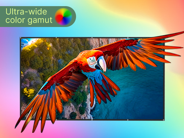 ALR Projector Screen