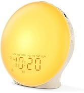 JALL Sunrise Alarm Clock White Noise Machine with 25 Nature Sleep Sounds, Fully Dimmable Clock fo...