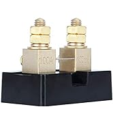CG 100A 100mV Ampere Electrical Digital DC Current Shunt Resistor for amp Panel Ammeter Current M...