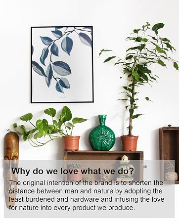 Decor your home to feel beeter