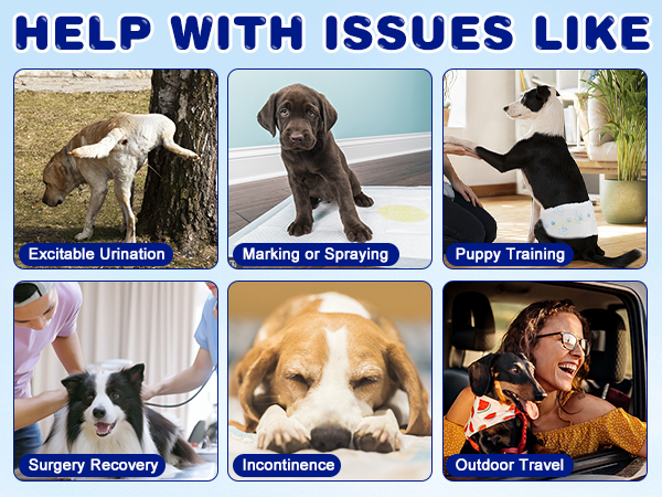 Disposable Dog Diapers