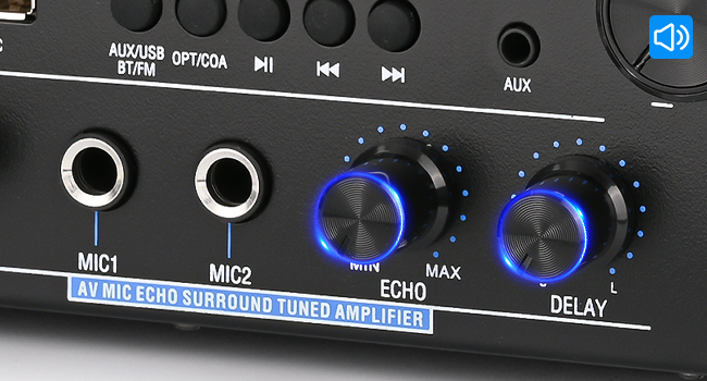 ECHO delay