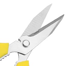 Sharp Stainless Steel Blades