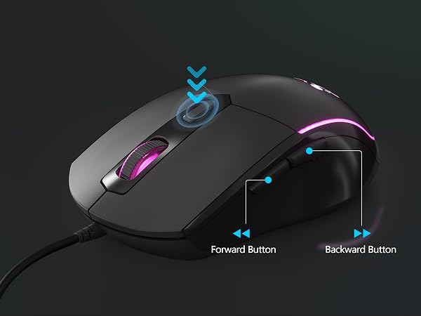 mouse