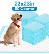 SAP FRIENDLY 22"×23" Disposable Underpads - 90 Count