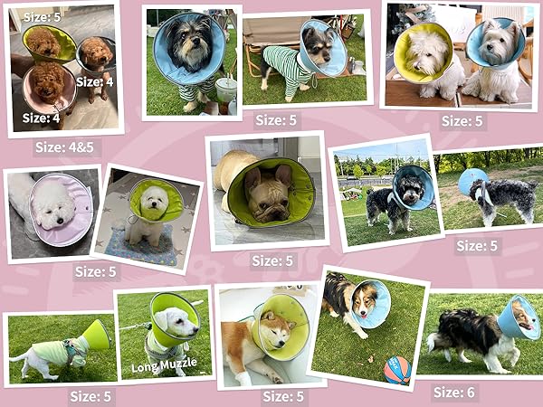 cat cone collar soft