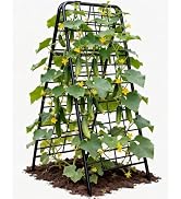 Joyhalo Heavy Duty Adjustable A-Frame Cucumber Trellis for Climbing Plants, 50.4"x17" All-Metal G...