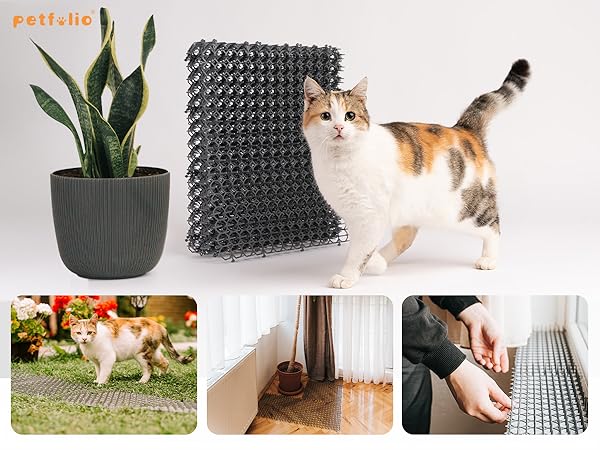 Indoor and Outdoor