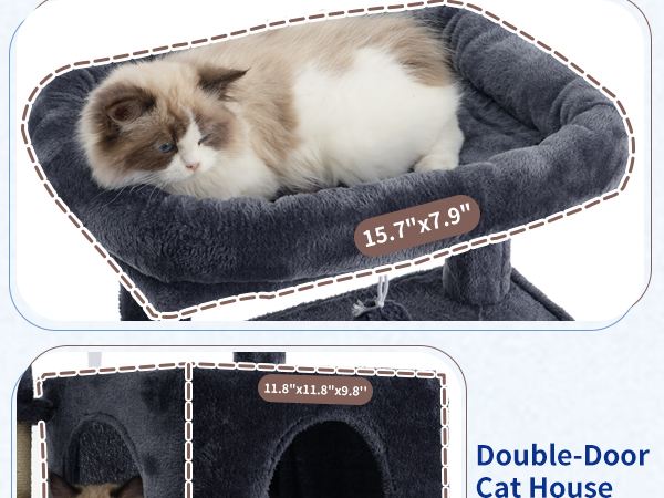 cat condo