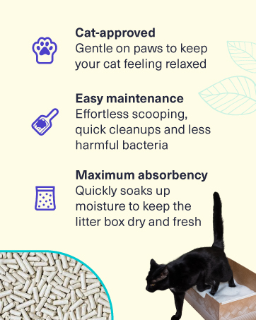 cat litter disposable box leak-proof silica crystal clumping odor control low dust natural plant