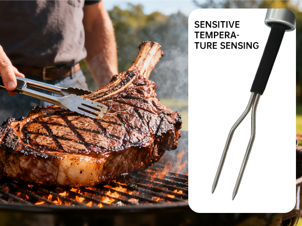 Grill Thermometer Fork