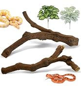 Apatal Snake Climbing Branch 2 Pcs Reptile Wood Branches Decor Wooden Ball Python Tank Accessorie...