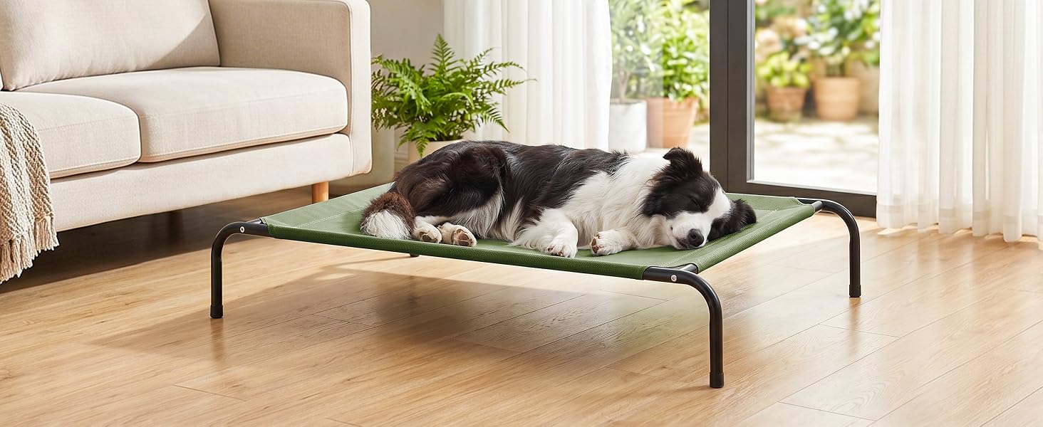 outdoor dog bed