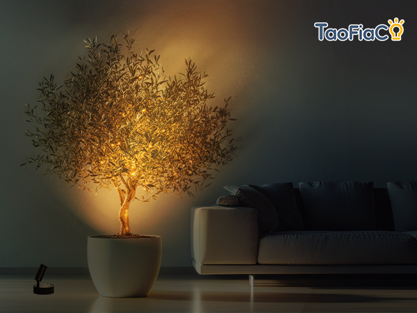 plant spotlight indoor