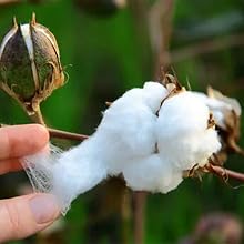 100 pure cotton