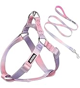 AIITLE Dog Harness Easy On and Off - Step in Adjustable Pet Harness with A Leash -No Pull Escape ...
