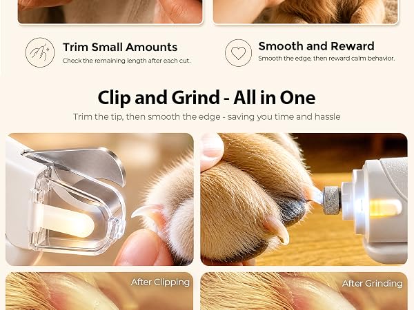 Beginner pet nail care steps: sniff and listen, trim small, smooth edges, then reward