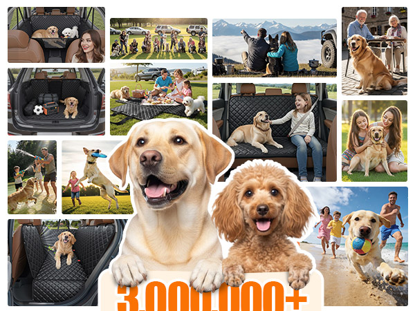 dog seat cover for back seat