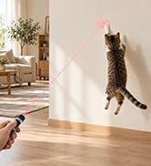 cat toy