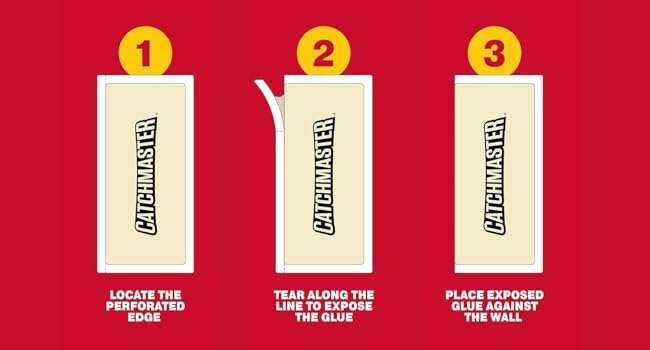 Step 1, 2, 3