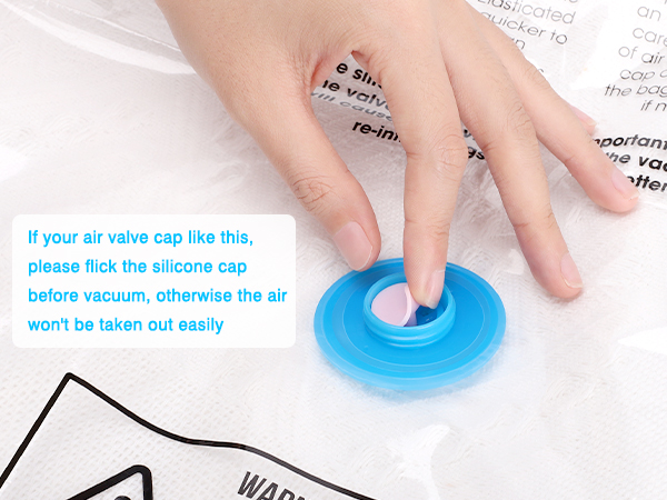 portable vacuum bag pump