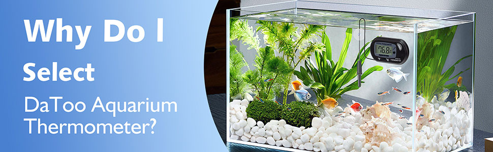 fish tank thermometer