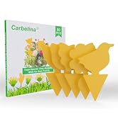 Carbelina Gnat Traps for House Indoor Plants, Fruit Fly Traps for Indoors Sticky, Fungus Gnat Sti...