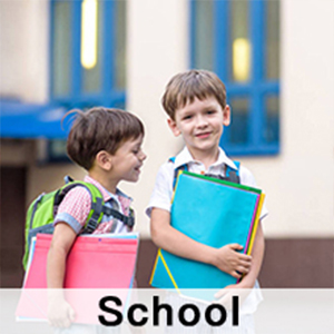 file folder organizer