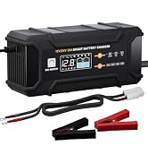 ECO-Worthy 12V/24V 20A Smart Battery Charger for Lead-Acid, LiFePO4 Battery | Smart Trickle Charg...