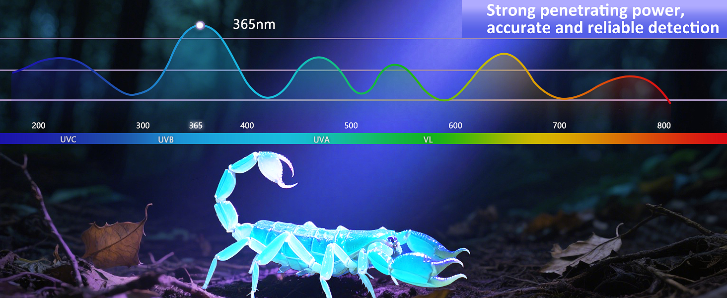 uv light flashlight
