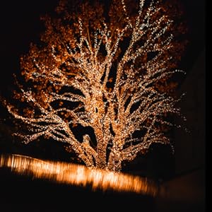 fairy lights