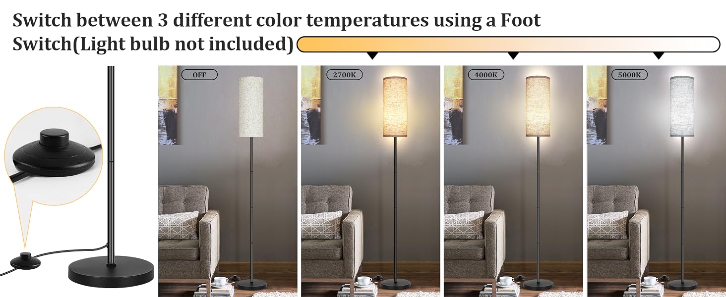 3 CCT floor lamp