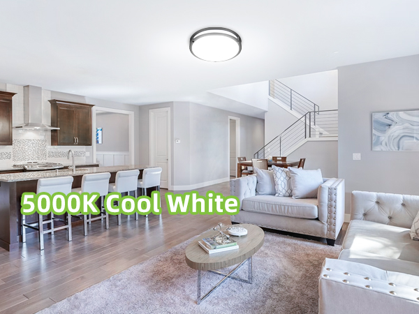Flush Mount LED Ceiling Light Fixture