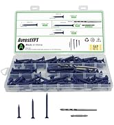 AvrestYPT 107 Pcs Countersunk Phillips Flat Head Blue Concrete Screw Anchors with one Screwdriver...