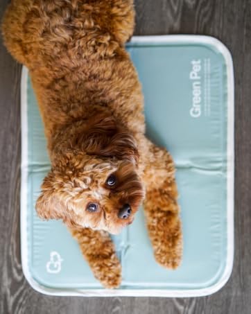 Cool Pet Pad