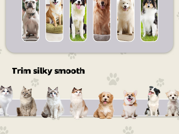 dog grooming vacuum