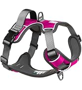 Embark Adventure Dog Harness, Reflective Trim No Pull Dog Harness Medium Sized Dogs - Military Gr...