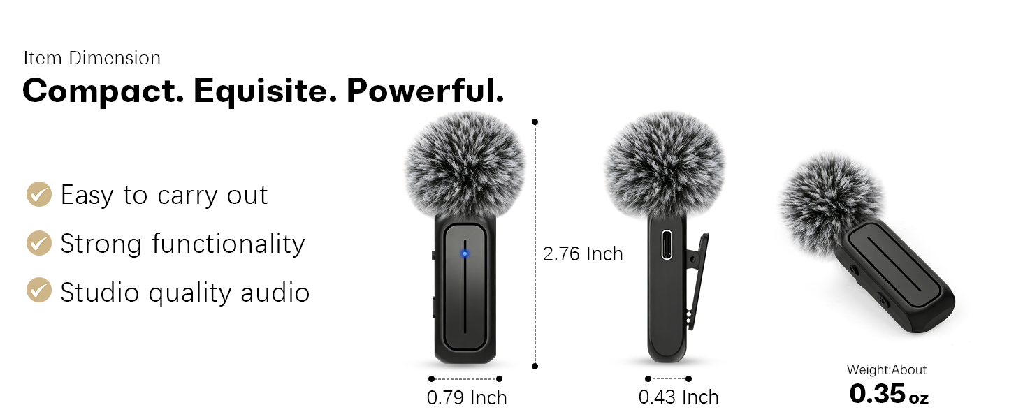 mic