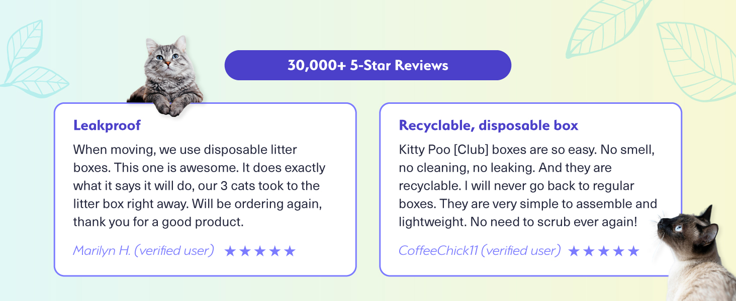 cat litter disposable box leak-proof silica crystal clumping odor control low dust natural plant