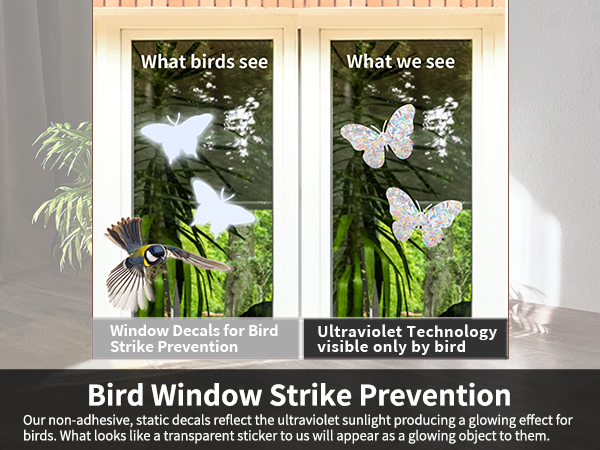 window clings rainbow stickers film